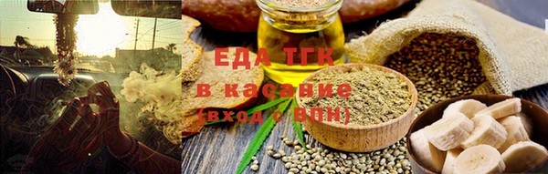 индика Сосновоборск